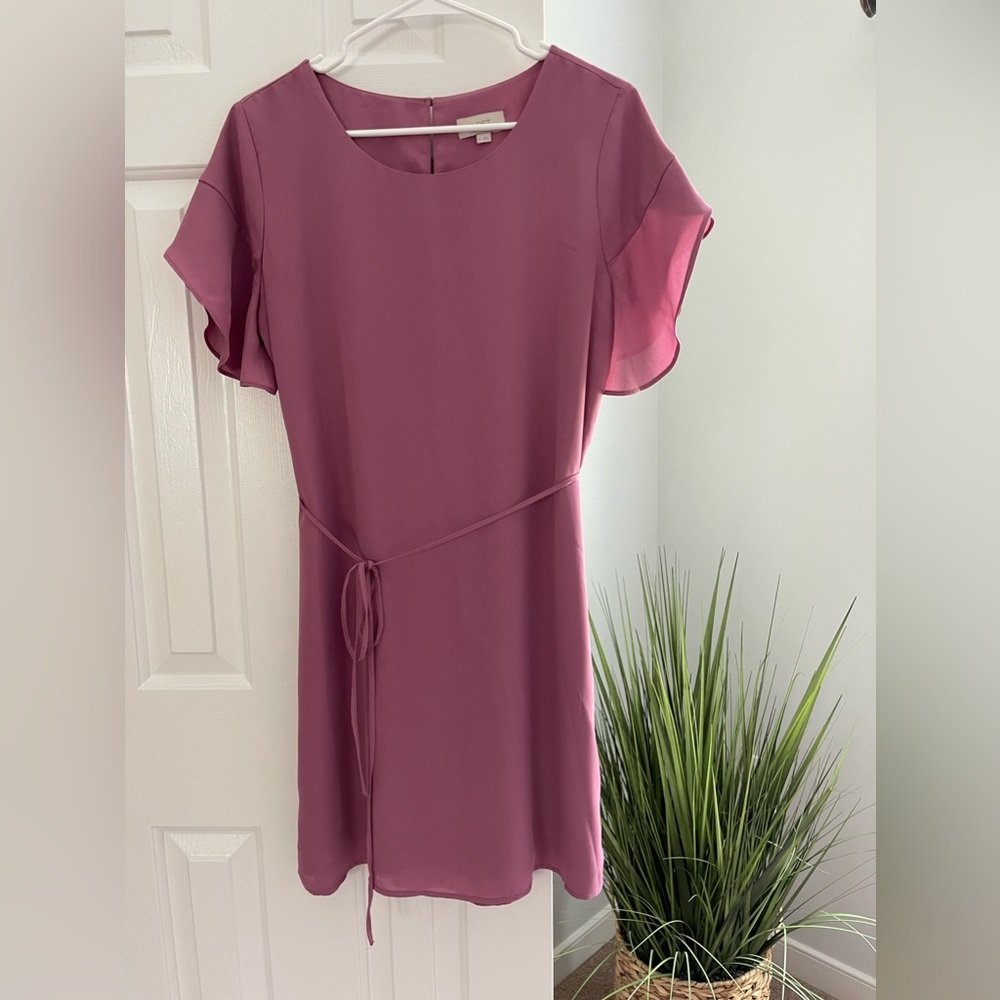 Loft Ruffle Sleeve Dress